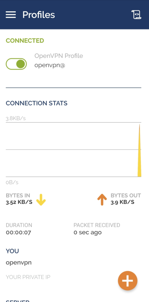 OpenVPN-Server